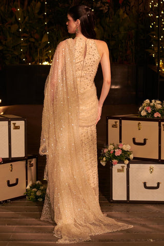 Pearled ivory embellished hitch gown
