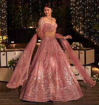 Pink embellished hitch lehenga set with sheer dupatta
