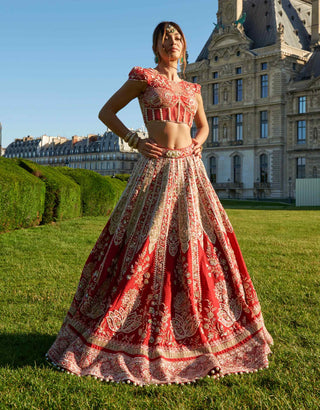 Red embroidery silk lehenga set