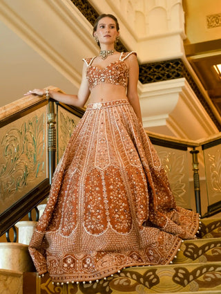 Rustic ochre rust elegance lehenga set