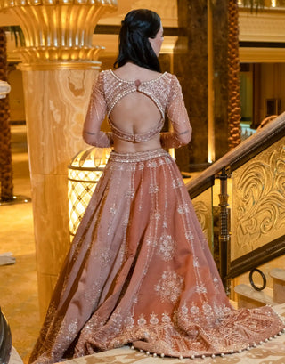 Hazel brew brown lehenga set