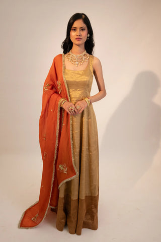 Beige zari tissue gold dual tone anarkali paired with rust dupatta