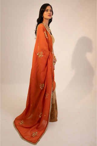 Beige zari tissue gold dual tone anarkali paired with rust dupatta