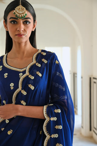Royal blue rahi saree with raglan sleeve blouse