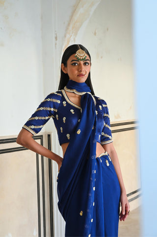 Royal blue rahi saree with raglan sleeve blouse