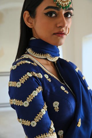 Royal blue rahi saree with raglan sleeve blouse