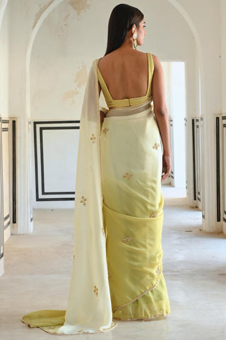 Olive-green rahi saree with deep blouse