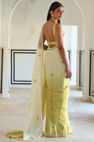 Olive-green rahi saree with deep blouse