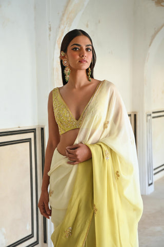 Olive-green rahi saree with deep blouse