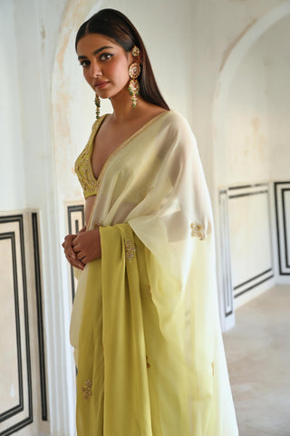 Olive-green rahi saree with deep blouse