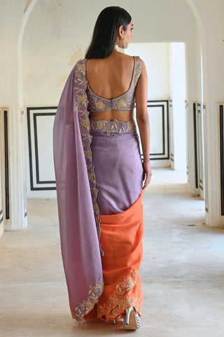 Multicolor rahi saree with blouse