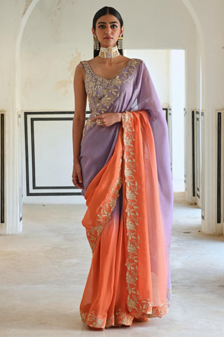Multicolor rahi saree with blouse