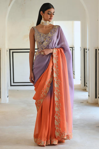 Multicolor rahi saree with blouse