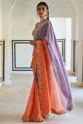 Multicolor rahi saree with blouse