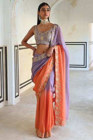 Multicolor rahi saree with blouse