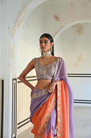 Multicolor rahi saree with blouse