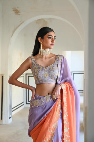 Multicolor rahi saree with blouse