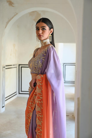 Multicolor rahi saree with blouse