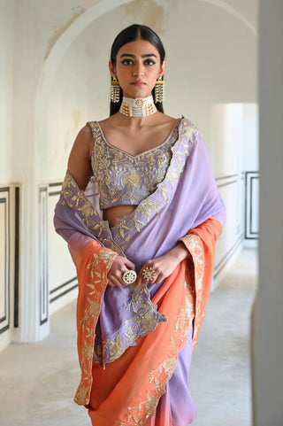 Multicolor rahi saree with blouse