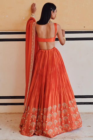 Orange rahi blouse with lehenga and dupatta