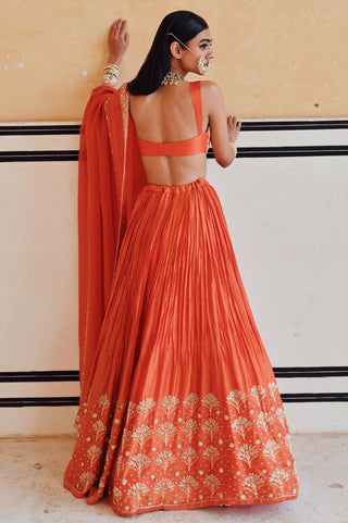 Orange rahi blouse with lehenga and dupatta