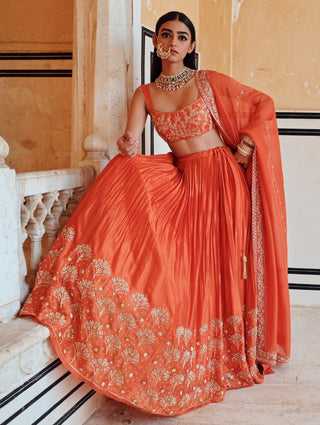 Orange rahi blouse with lehenga and dupatta