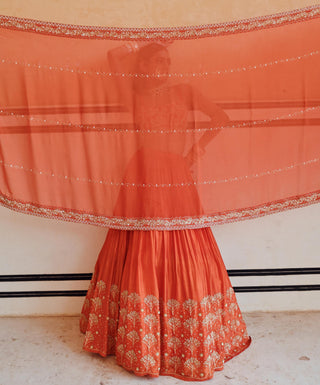 Orange rahi blouse with lehenga and dupatta