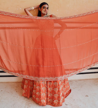 Orange rahi blouse with lehenga and dupatta