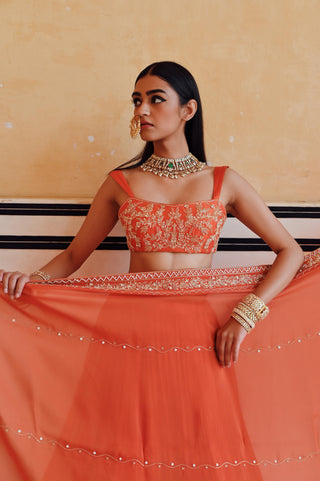 Orange rahi blouse with lehenga and dupatta