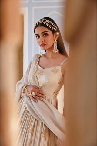 Gray rahi length anarkali with dupatta