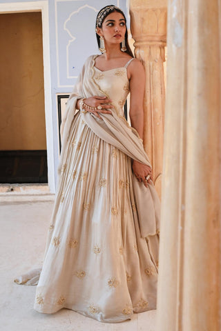 Gray rahi length anarkali with dupatta