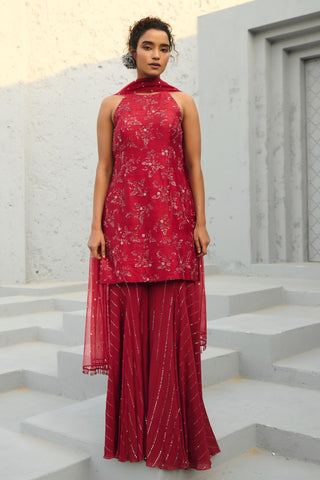 Sharara Indian Wedding - Red Serena by Chamee & Palak