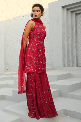 Sharara Indian Wedding - Red Serena by Chamee & Palak