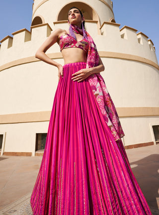 Pink-purple striped lehenga set
