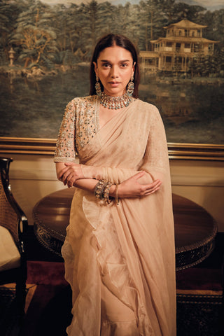 Beige sneh safarnama saree set