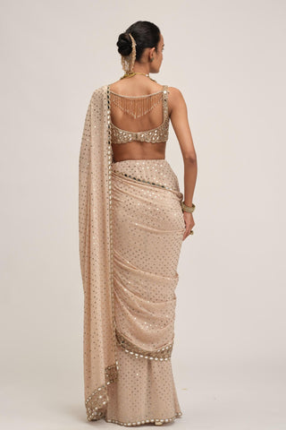 Saree Set - Indian Wedding - Beige Maharani Mirror by Vvani by Vani Vats