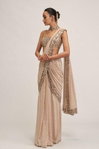 Saree Set - Indian Wedding - Beige Maharani Mirror by Vvani by Vani Vats