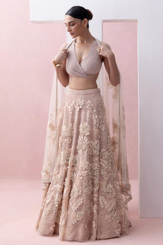 Peach reverie-festive lehenga with blouse with dupatta