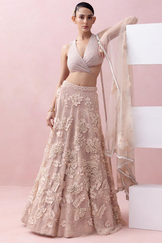 Peach reverie-festive lehenga with blouse with dupatta