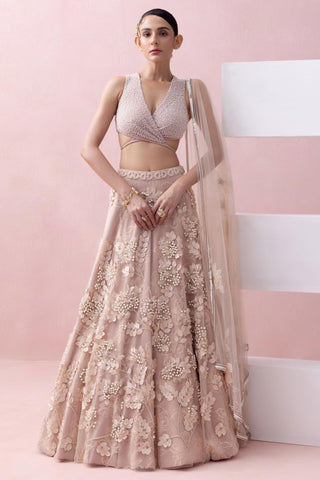 Peach reverie-festive lehenga with blouse with dupatta