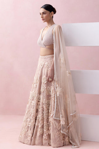 Peach reverie-festive lehenga with blouse with dupatta