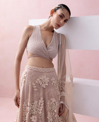 Peach reverie-festive lehenga with blouse with dupatta