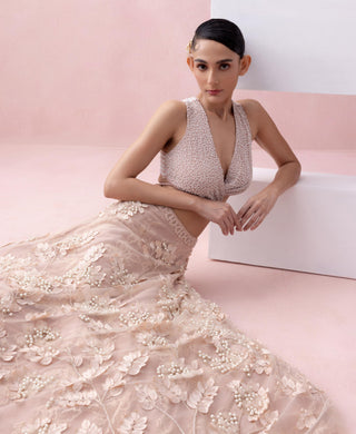 Peach reverie-festive lehenga with blouse with dupatta