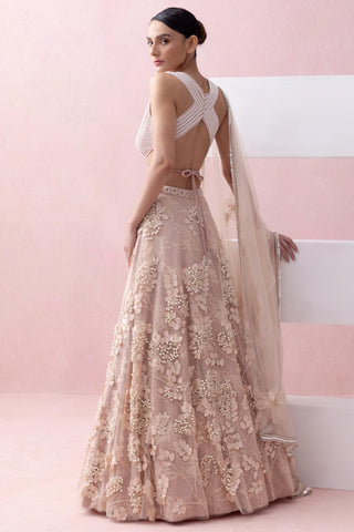 Peach reverie-festive lehenga with blouse with dupatta