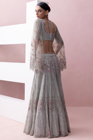 Blue reverie-festive lehenga with sleeve blouse