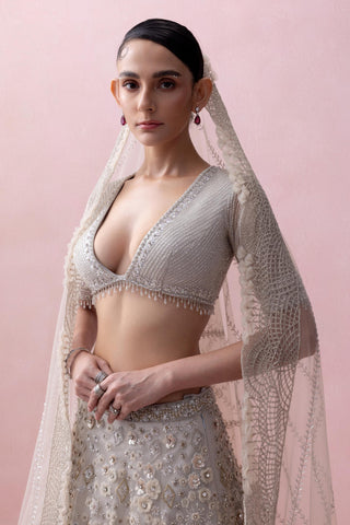 Gray reverie-festive lehenga set