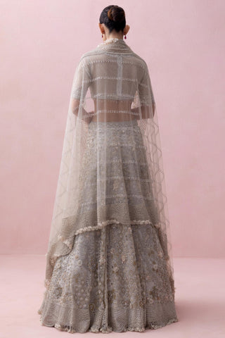 Gray reverie-festive lehenga set