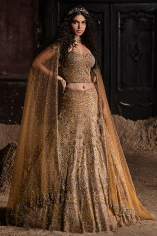 Gold oraan lehenga with corset