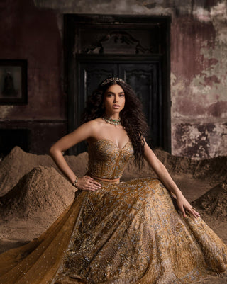 Gold oraan lehenga with corset
