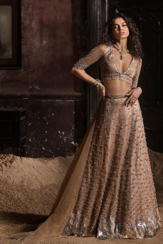 Beige oraan 3D lehenga set